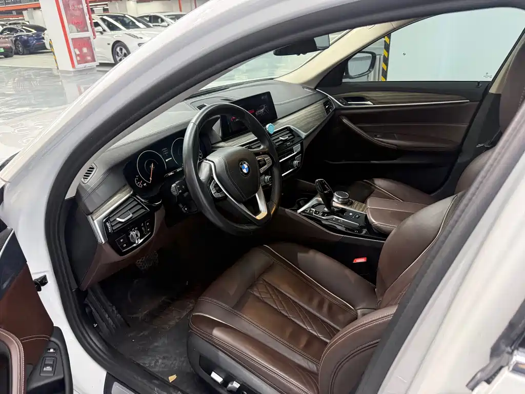 BMW 5 Series New Energy 2019