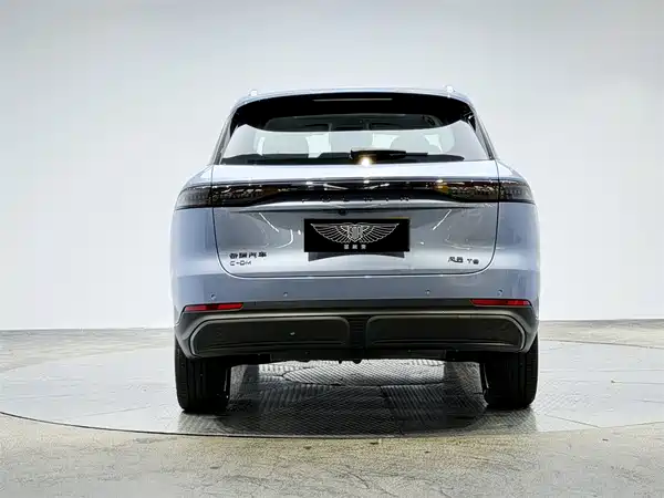 Chery Fengyun T9 2024