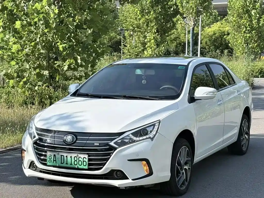 BYD Qin NEV 2018 — фото 1
