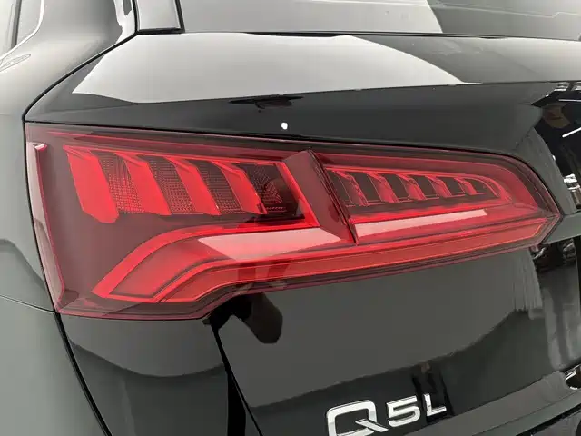 Audi Q5L 2019 — фото 18