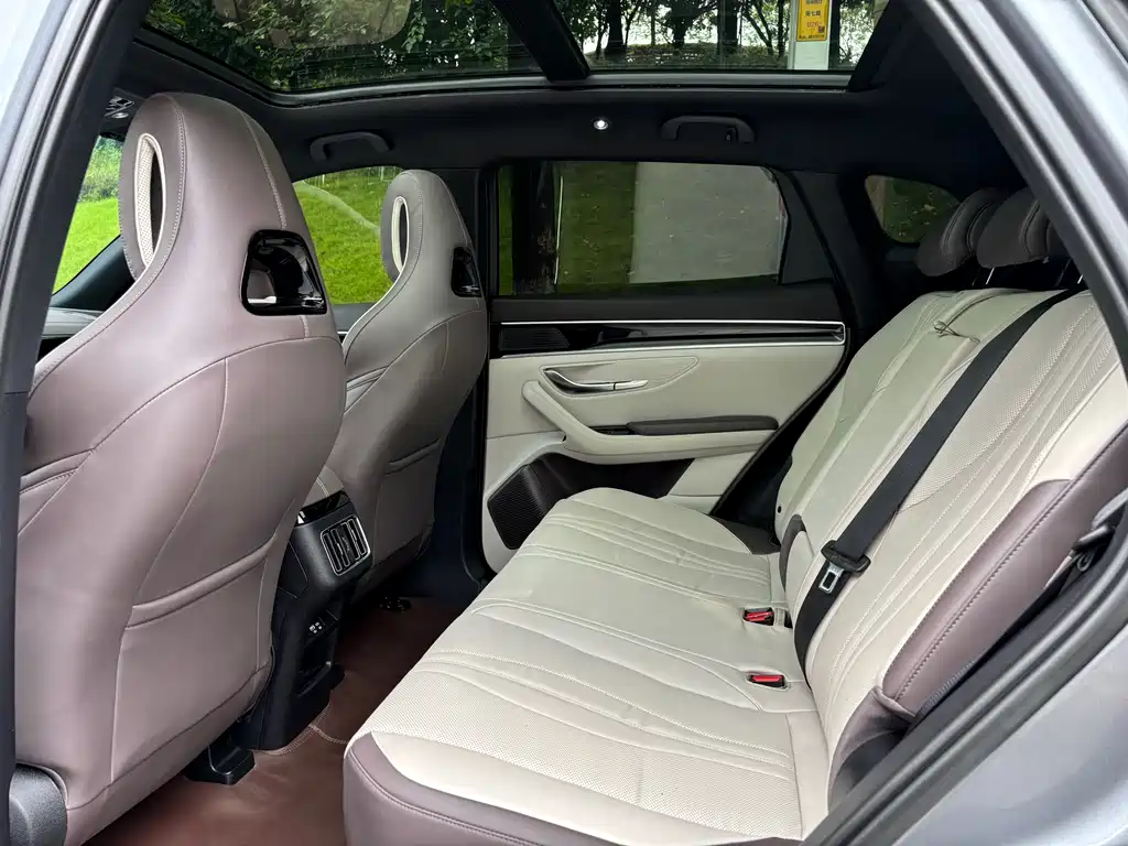 BYD PLUS New Energy 2025 — фото 17