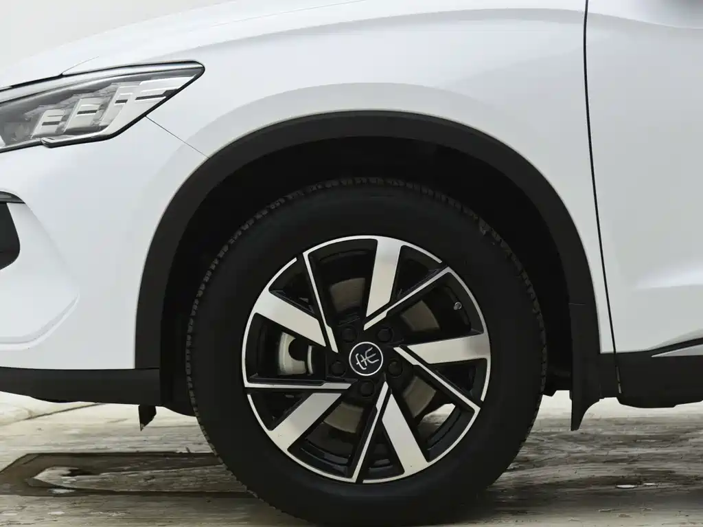 BYD Pro New Energy 2024 — фото 20