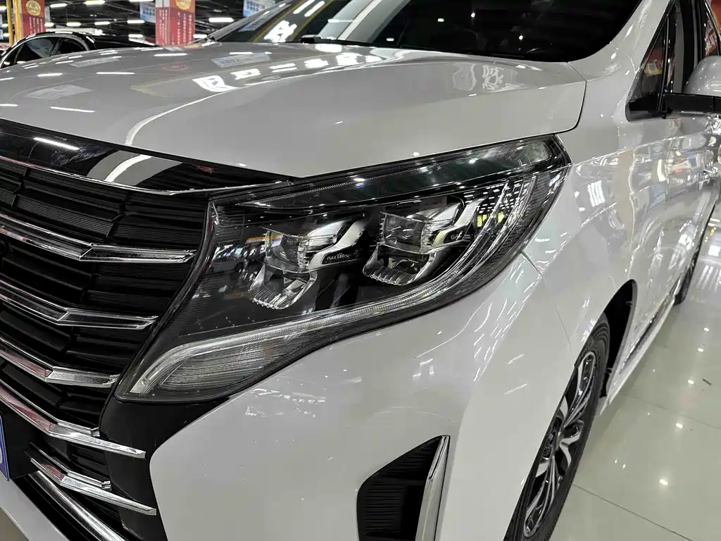 GAC Motor Trumpchi M8 2023 — фото 20