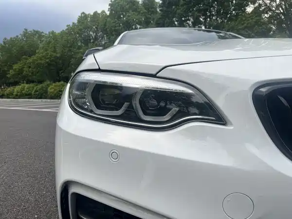 BMW 2 Series 2019