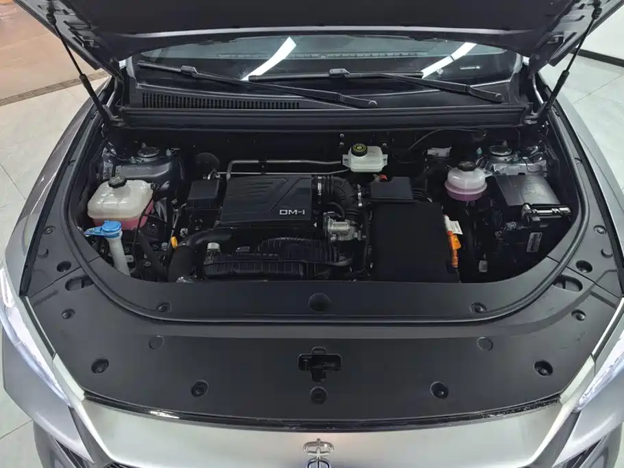 BYD Song Pro New Energy 2024 — фото 10