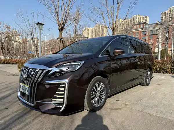 Buick GL8 2021