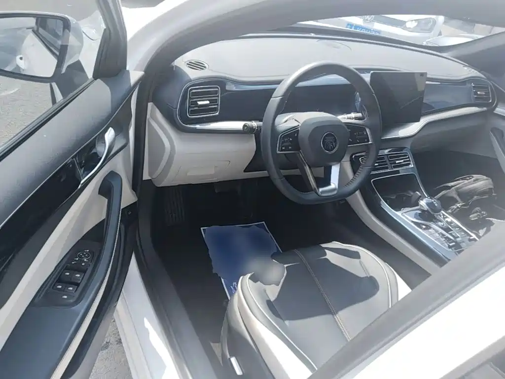 BYD Qin PLUS 2022 — фото 16