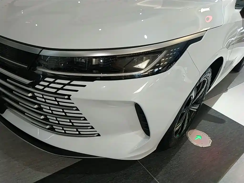 BYD Destroyer 05 2023 — фото 24