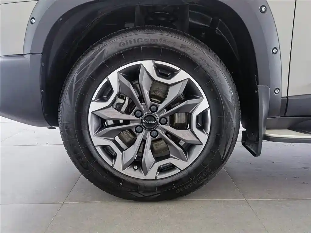 Haval Big Dog 2023 — фото 17