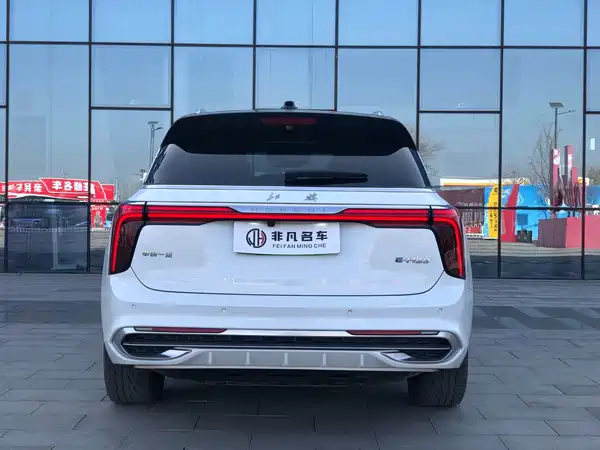 Hongqi E-HS9 2021