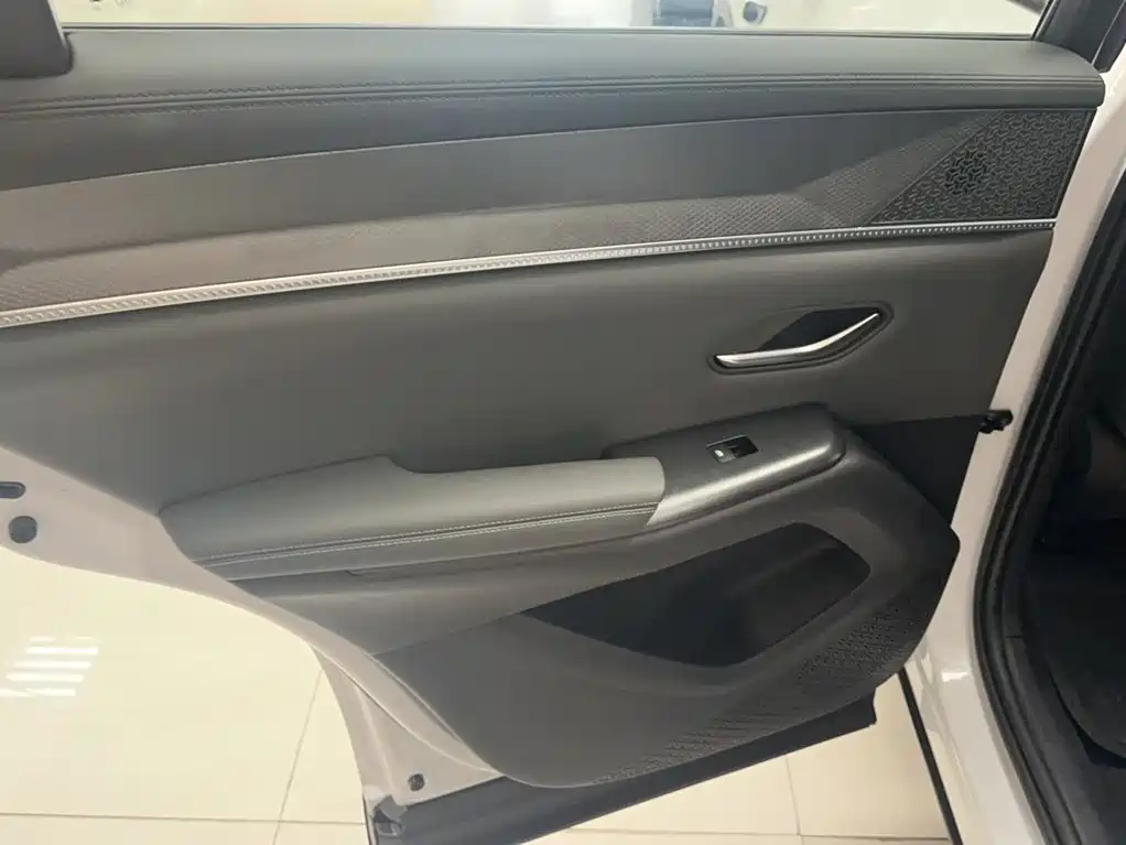 BYD Pro New Energy 2025 — фото 17