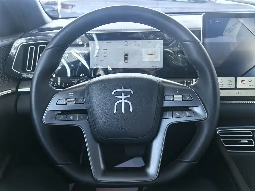 BYD Pro New Energy 2025 — фото 12