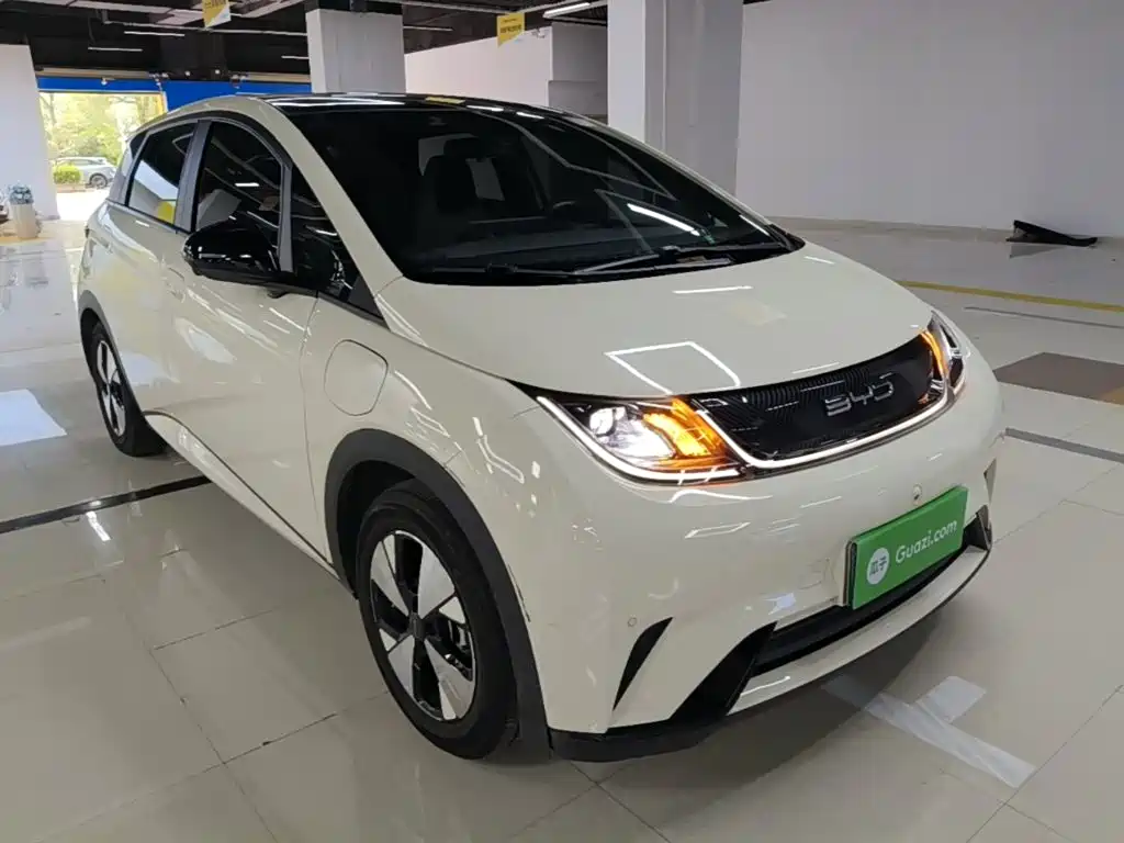 BYD Dolphin 2024