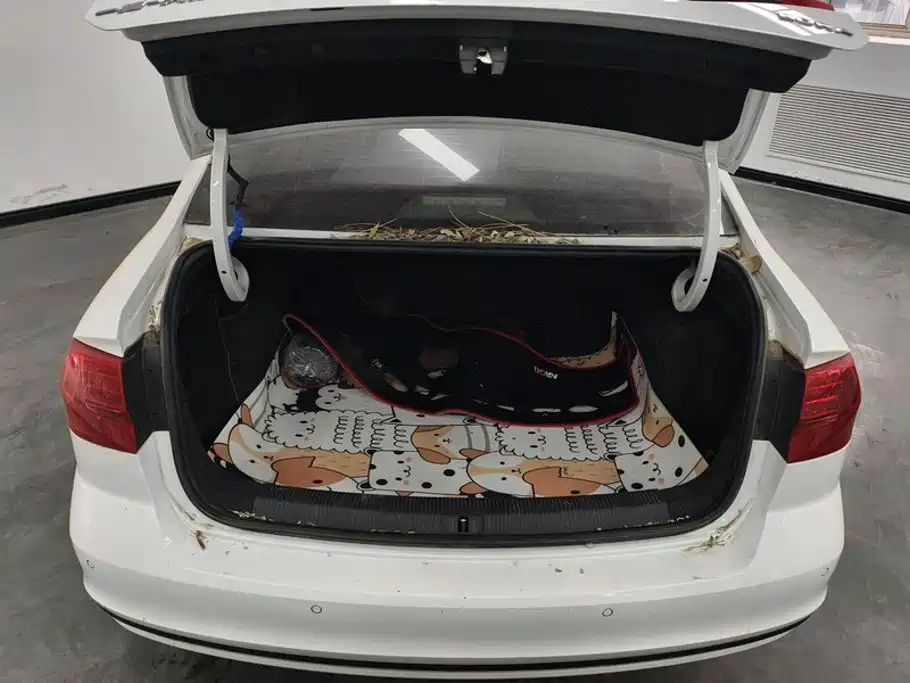Volkswagen Bora 2021