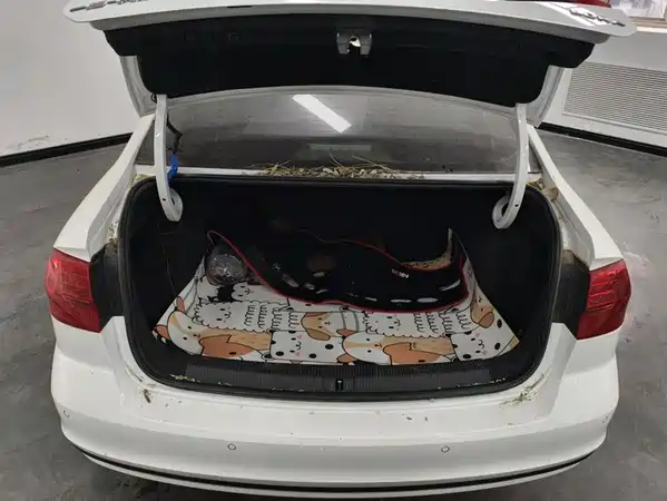 Volkswagen Bora 2021