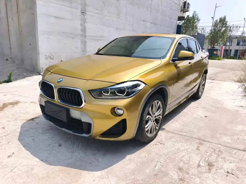 BMW X2 2019 — фото 1