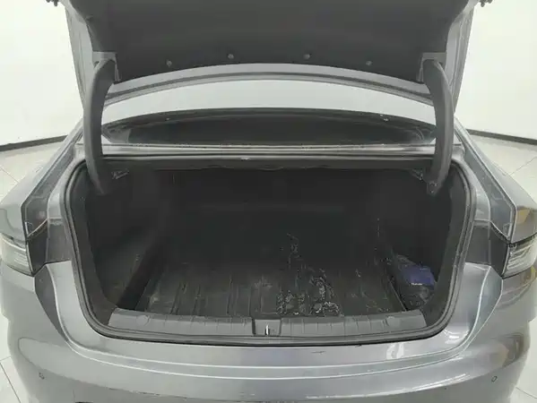 BYD Destroyer 05 2024