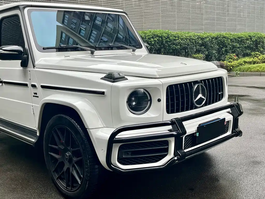 Mercedes-Benz G-Class AMG 2019 — фото 11