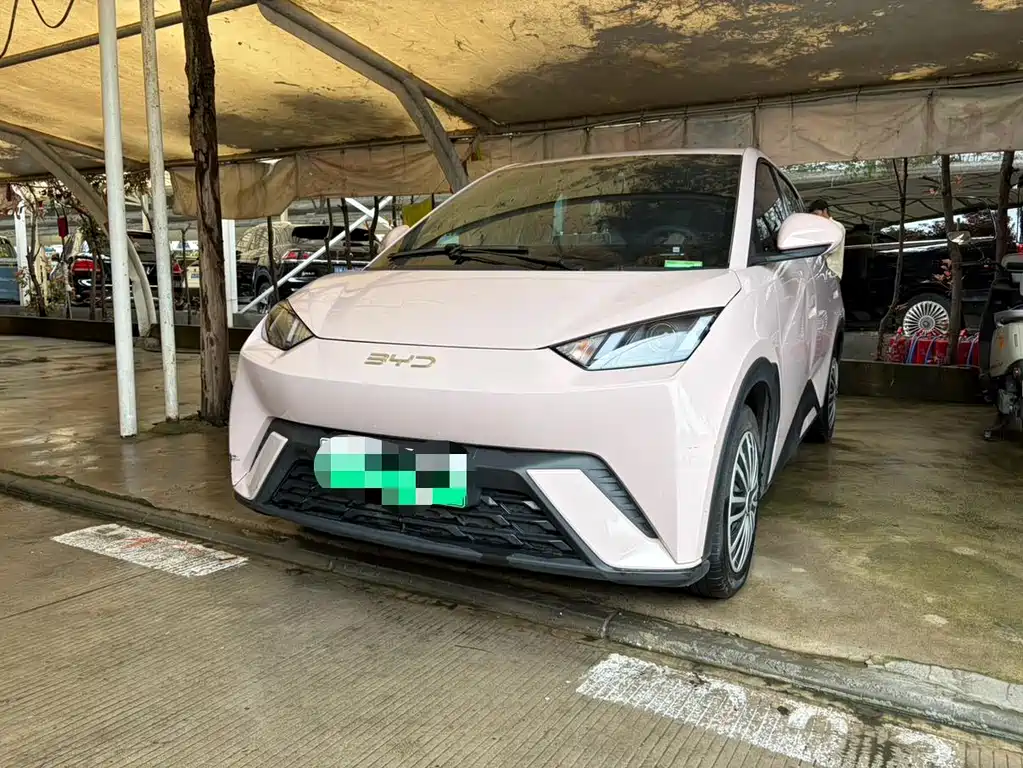 BYD Seagull 2024