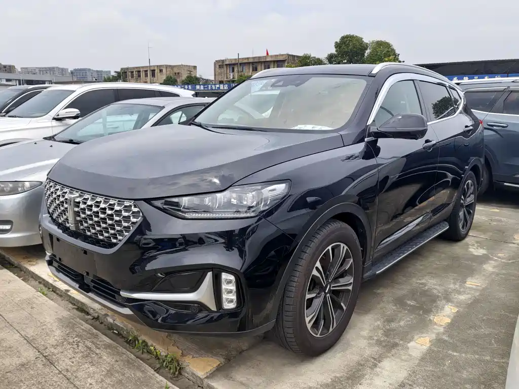 Wey VV6 2021