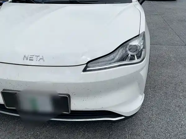 Neta V 2022