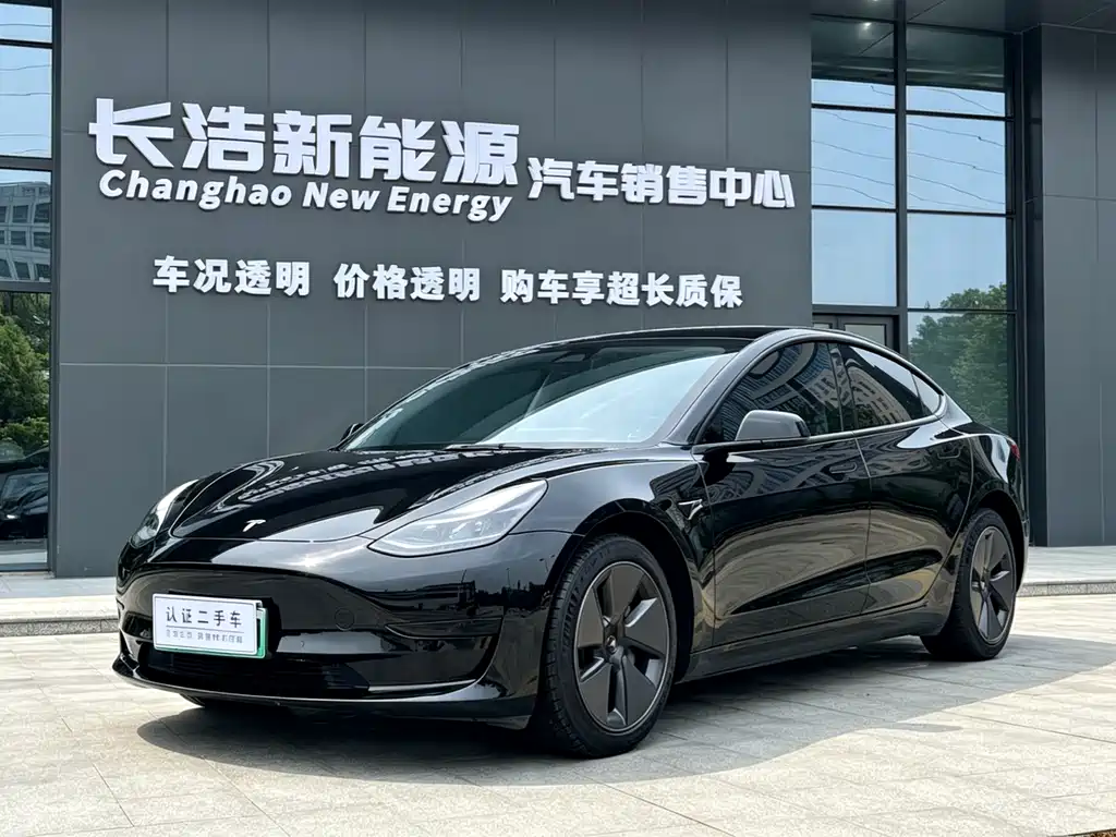 Tesla Model 3 2022