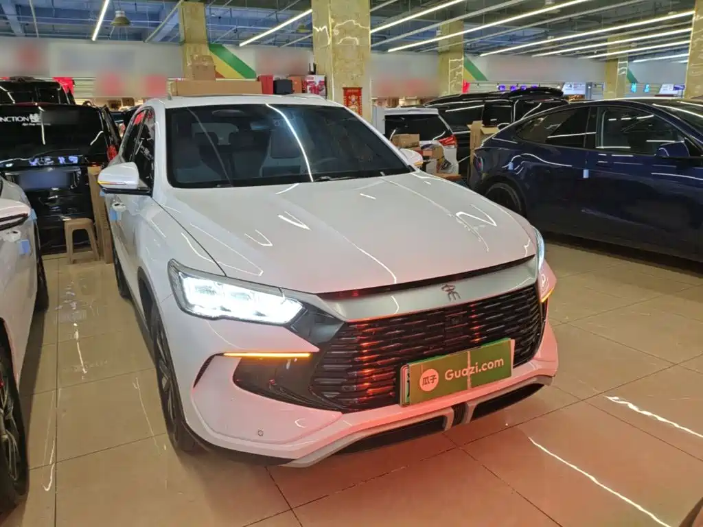 BYD Pro New Energy 2024 — фото 4