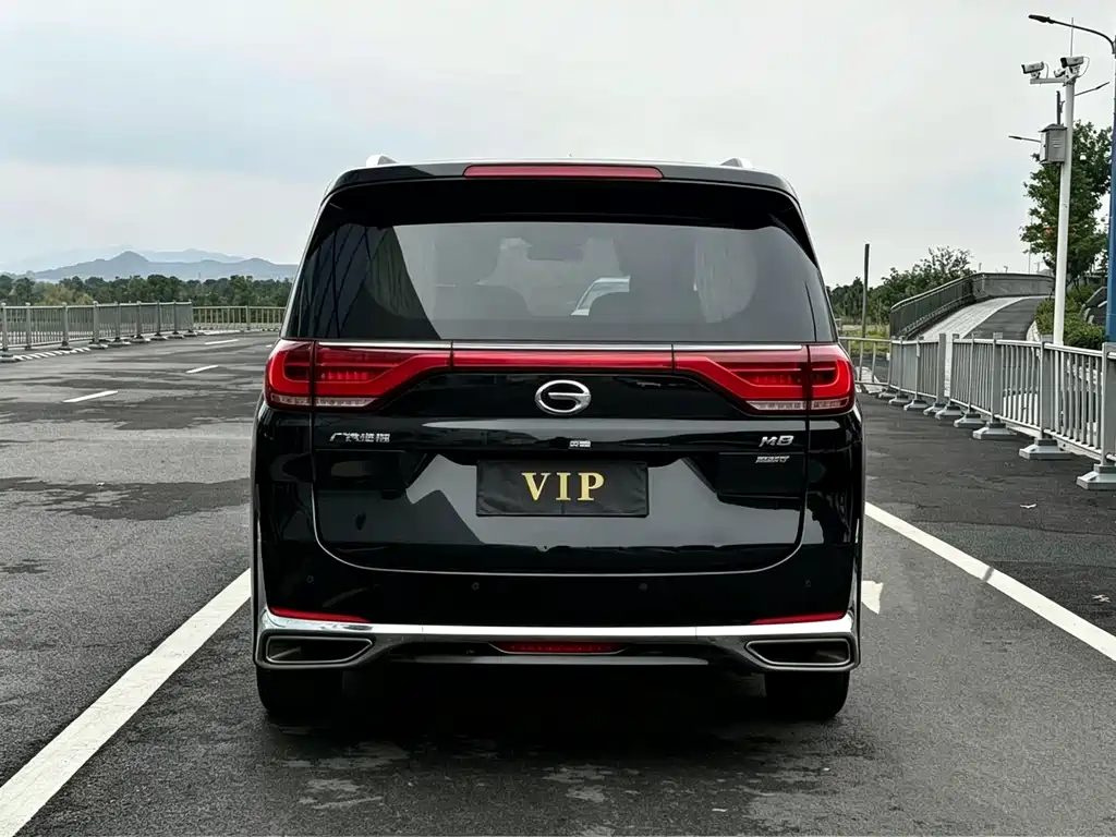 GAC Motor Trumpchi M8 2021 — фото 10