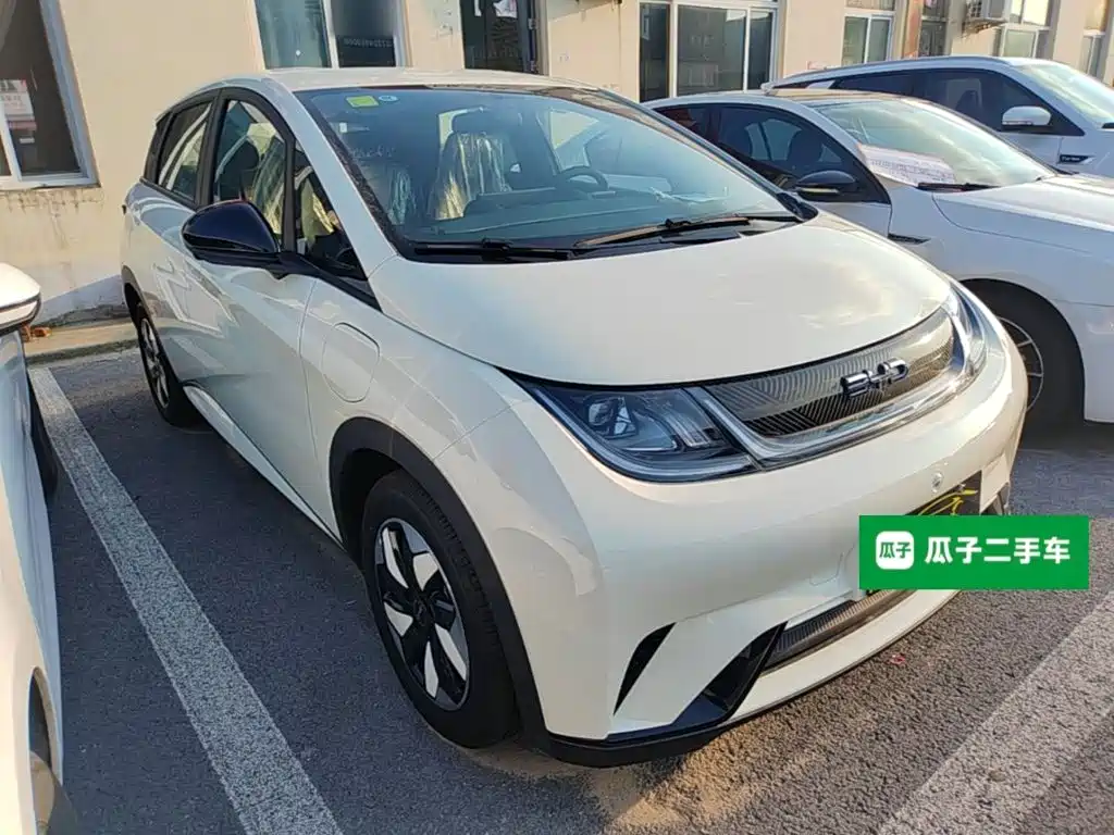 BYD Dolphin 2026