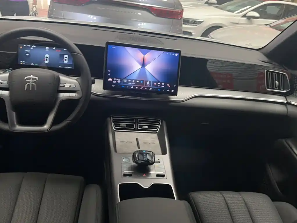 BYD Pro New Energy 2025 — фото 20