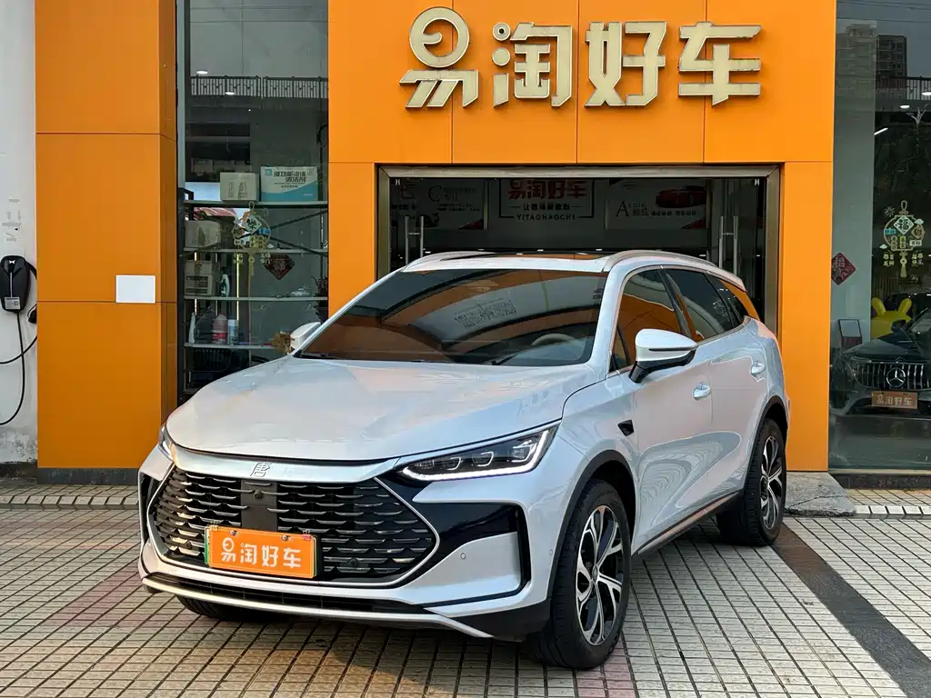 BYD Tang New Energy 2025 — фото 1