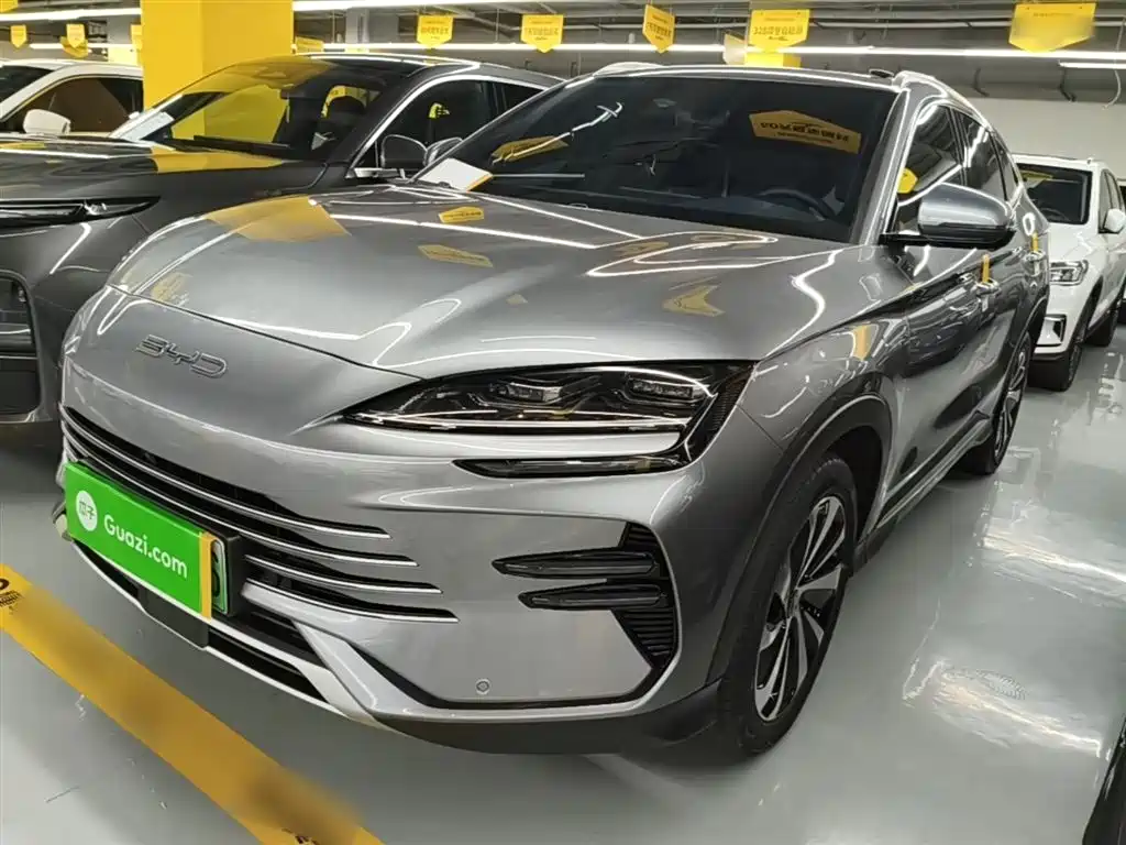 BYD PLUS New Energy 2024 — фото 2