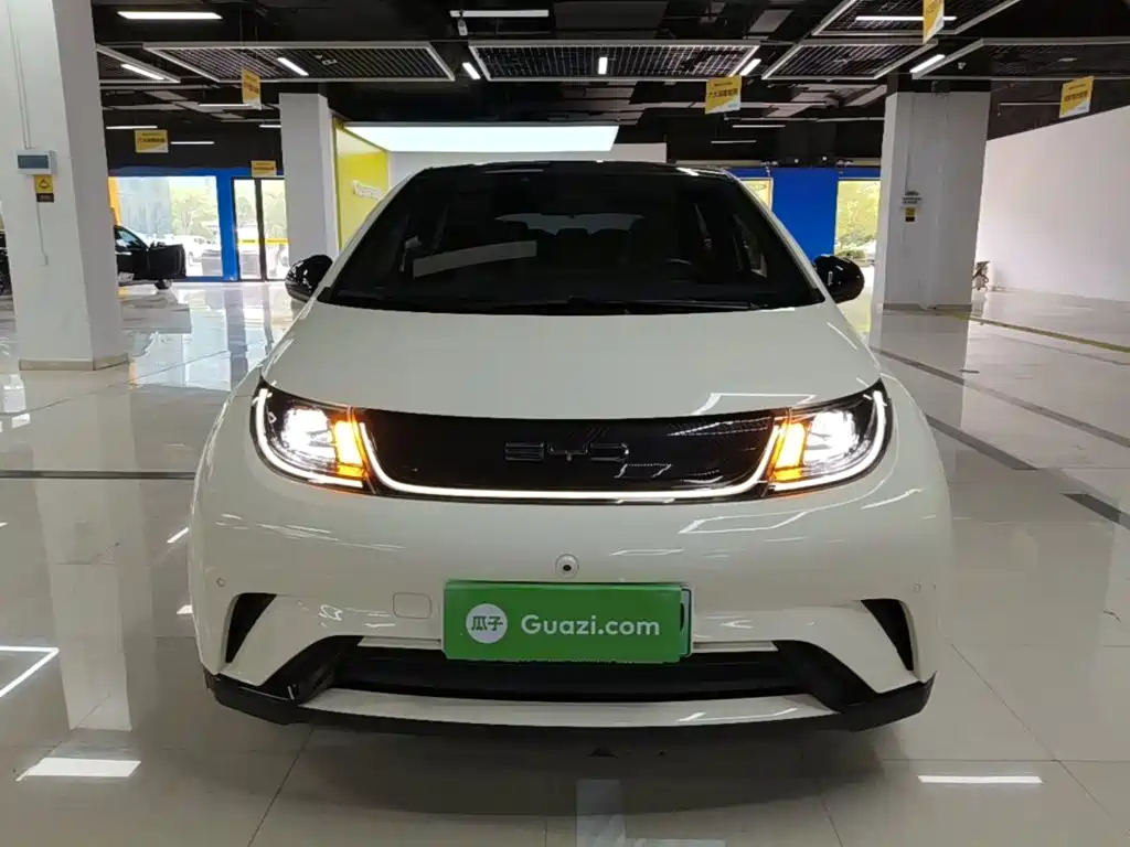 BYD Dolphin 2024
