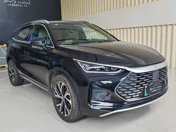 BYD Tang New Energy 2025