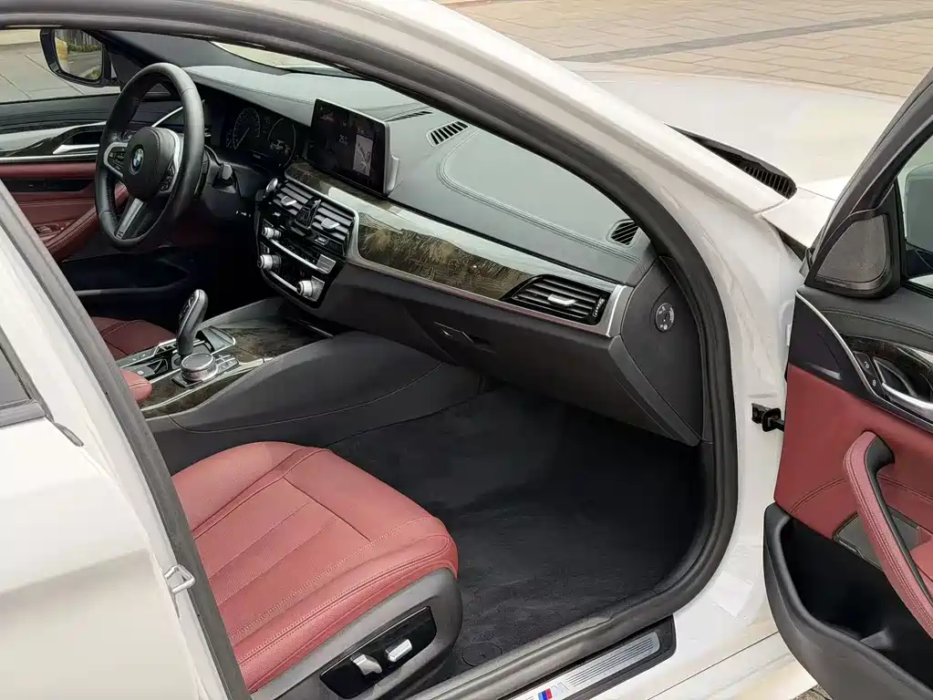 BMW 5 Series 2019 — фото 15