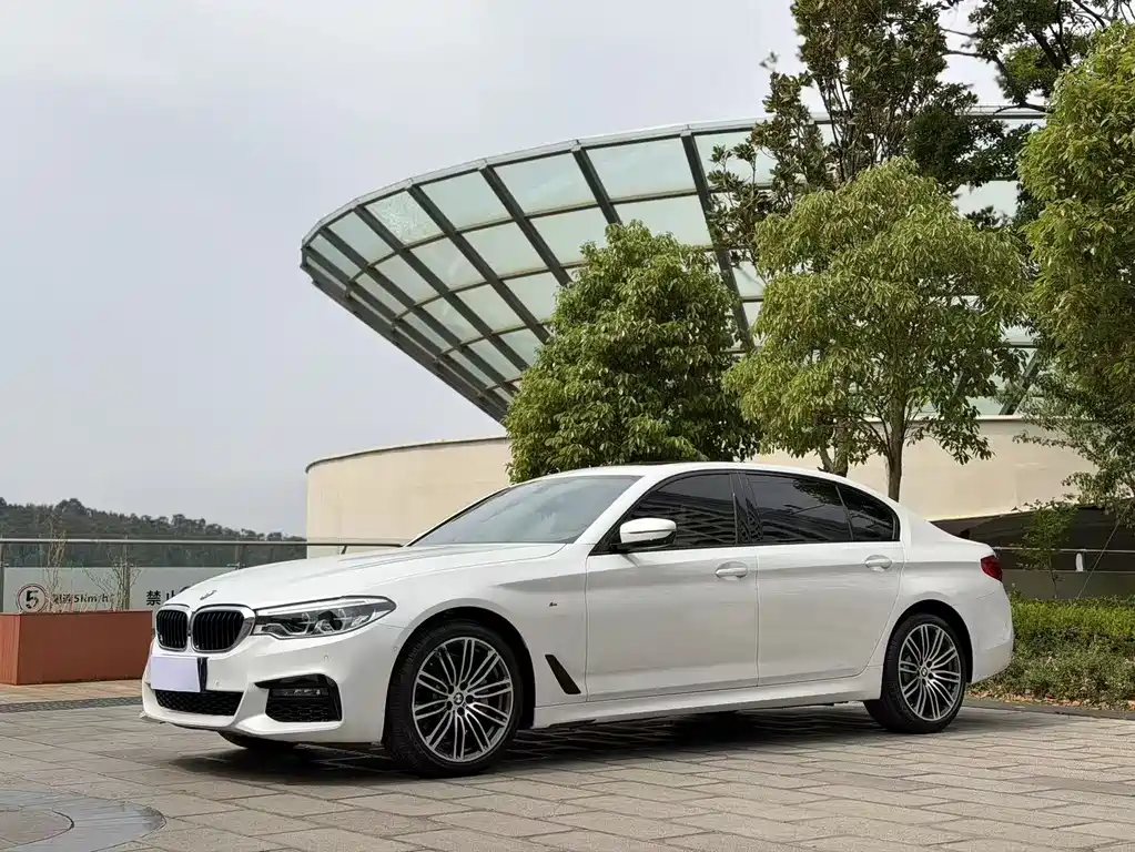 BMW 5 Series 2019 — фото 1