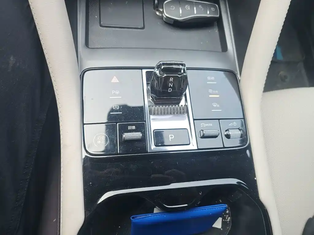 BYD Song PLUS New Energy 2025 — фото 14