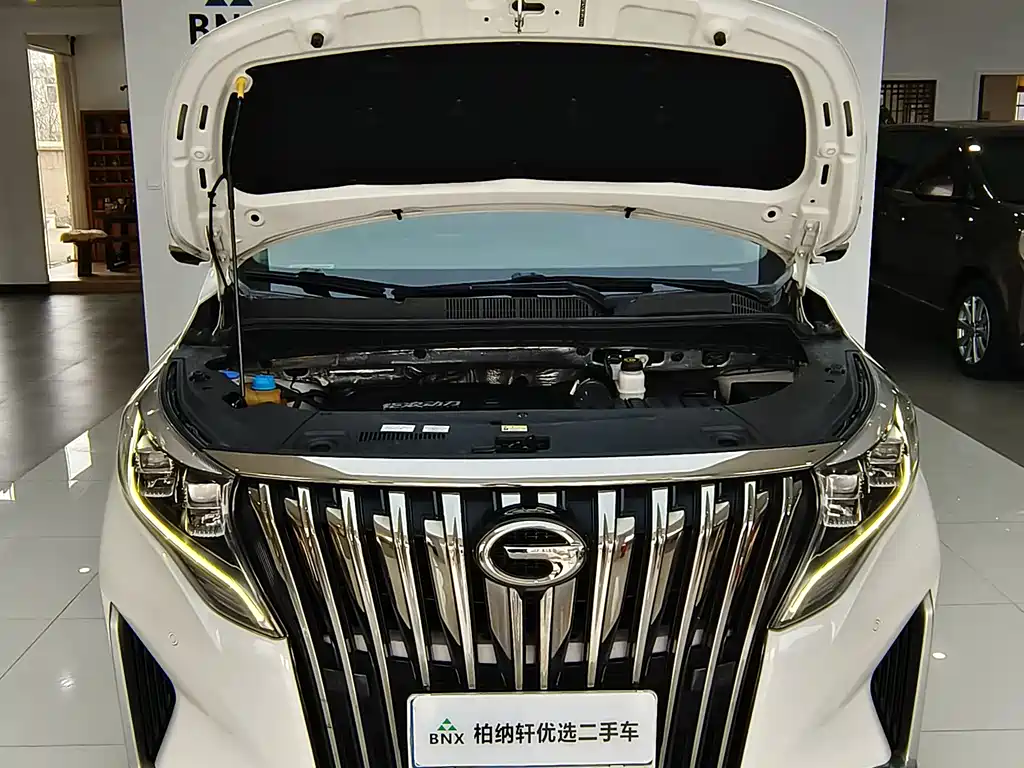 GAC Motor Trumpchi M8 2022 — фото 25