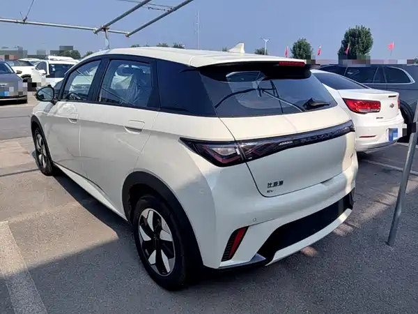 BYD Dolphin 2026