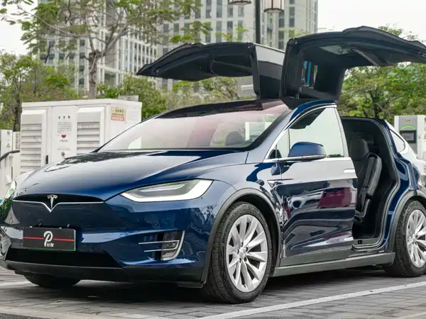 Tesla Model X 2019