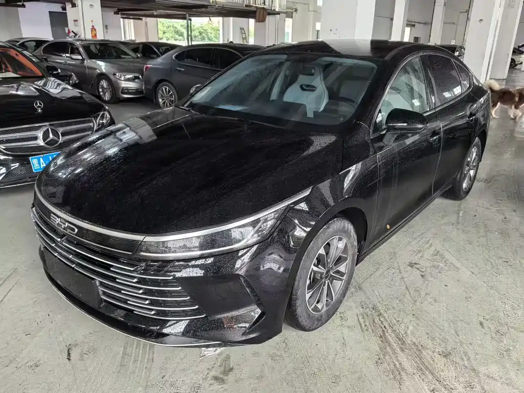 BYD Destroyer 05 2023 — фото 1