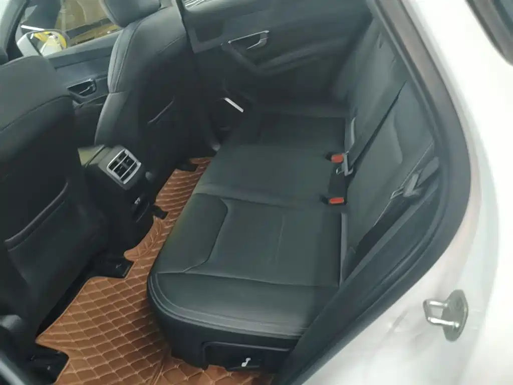 BYD Pro New Energy 2020 — фото 17