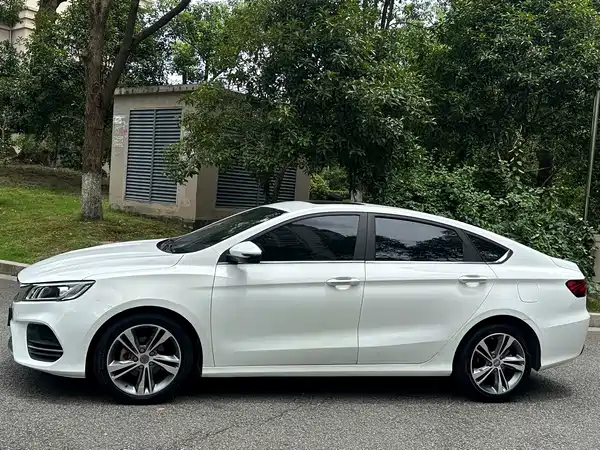 Geely Binrui 2019