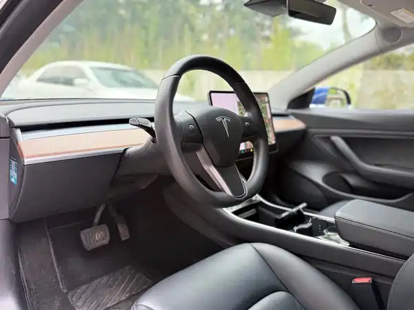 Tesla Model 3 2019