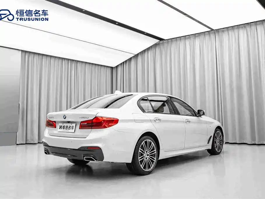 BMW 5 Series 2019