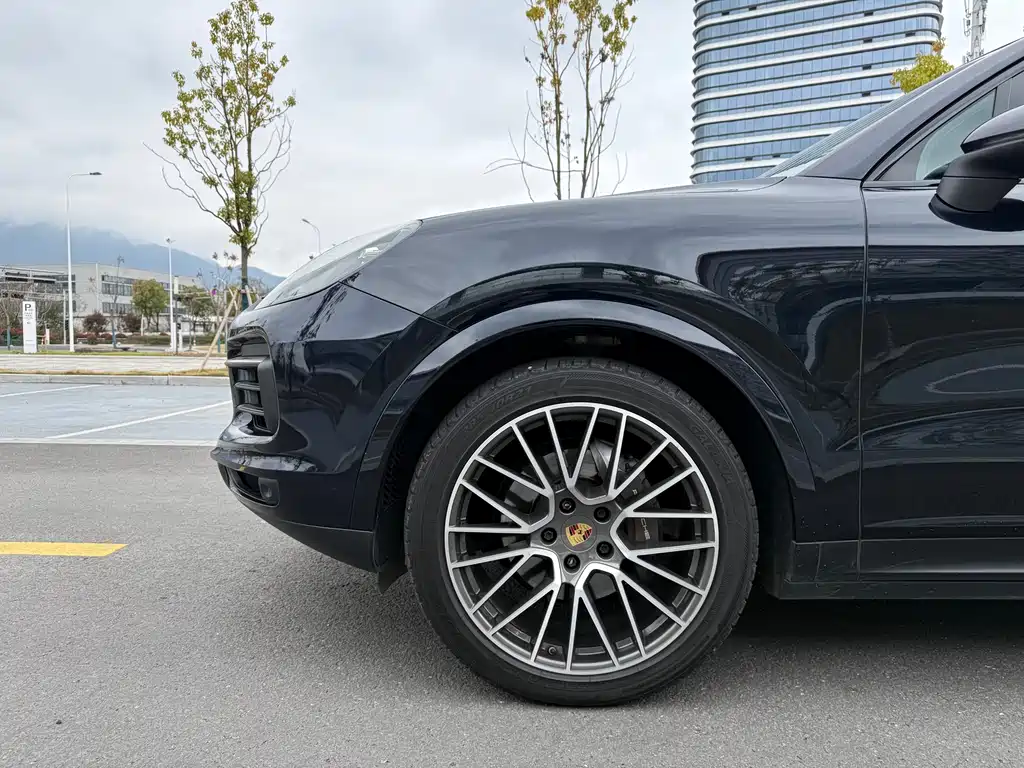 Porsche Cayenne 2020 — фото 10