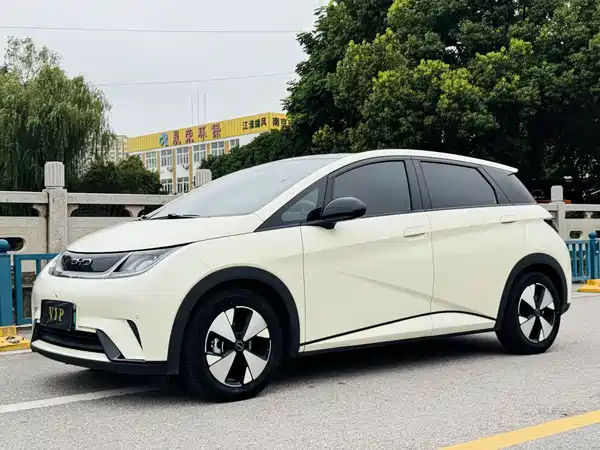 BYD Dolphin 2024