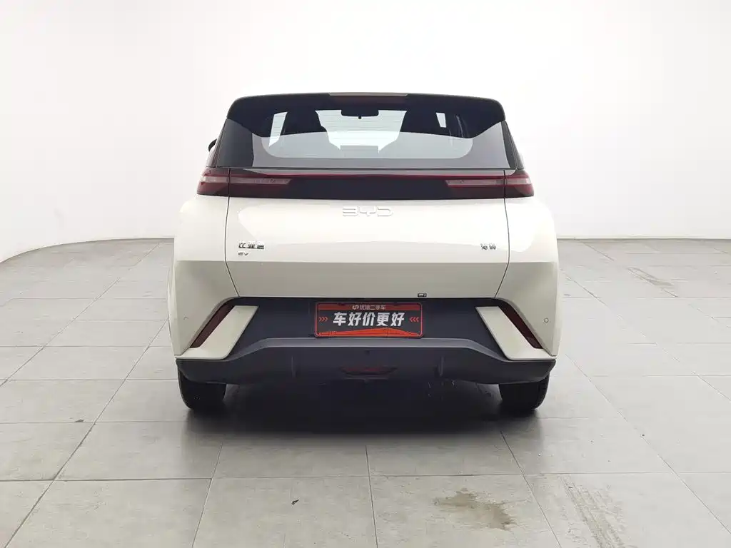 BYD Seagull 2024