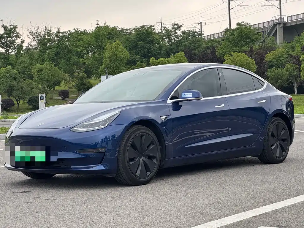 Tesla Model 3 2021