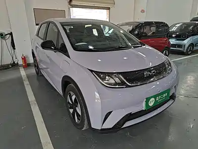 BYD Dolphin 2024